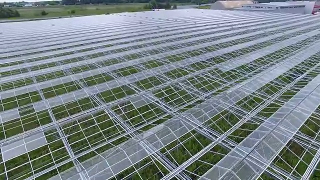 大苗圃的脊状屋顶