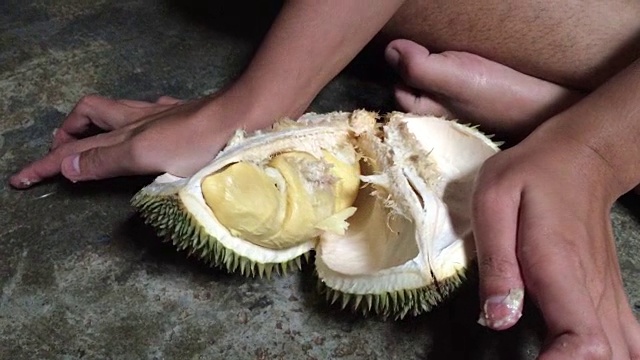 皮榴莲果
