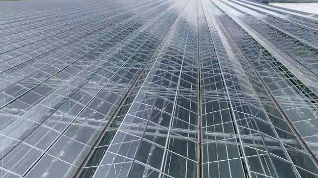 在开始下雨之前，温室顶部的窗户还开着。