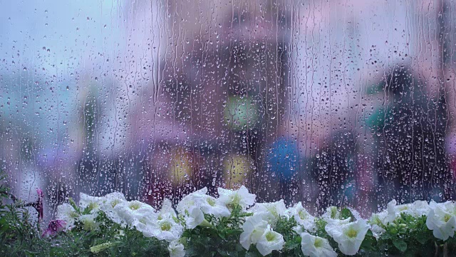 雨天的窗后湿着街头的花和雨点，模糊了街头的散景。不认识的人拿着雨伞。雨天的概念，季节，现代城市的生活方式