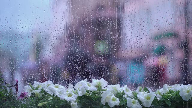 详情图-雨天的窗后湿着街头的花和雨点，模糊了街头的散景。不认识的人拿着雨伞。雨天的概念，季节，现代城市的生活方式