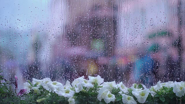 详情图-雨天的窗后湿着街头的花和雨点，模糊了街头的散景。不认识的人拿着雨伞。雨天的概念，季节，现代城市的生活方式