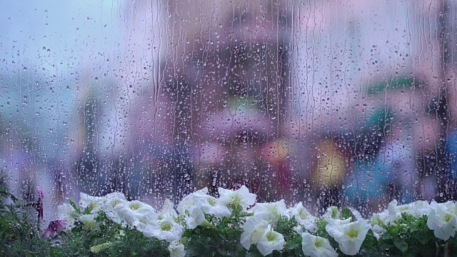 详情图-雨天的窗后湿着街头的花和雨点，模糊了街头的散景。不认识的人拿着雨伞。雨天的概念，季节，现代城市的生活方式