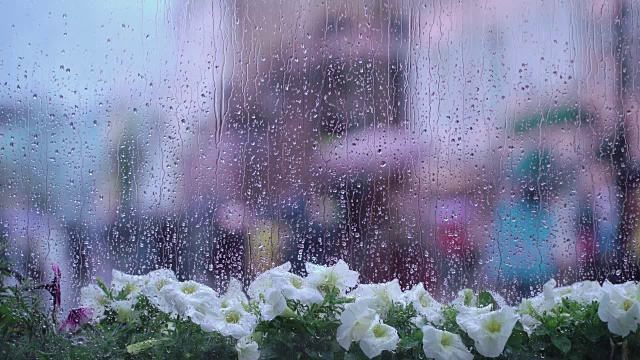 详情图-雨天的窗后湿着街头的花和雨点，模糊了街头的散景。不认识的人拿着雨伞。雨天的概念，季节，现代城市的生活方式