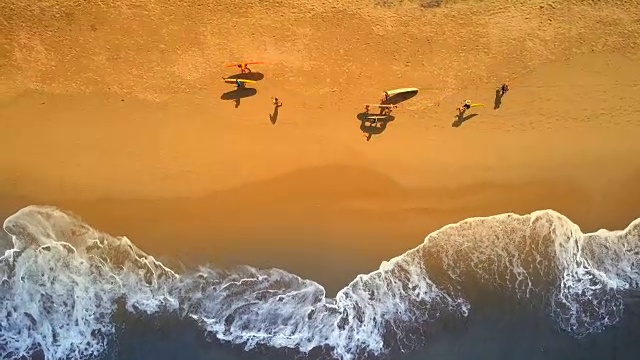 詳情圖-航拍:一群人扛著沖浪板和長板在異國情調(diào)的沙灘上