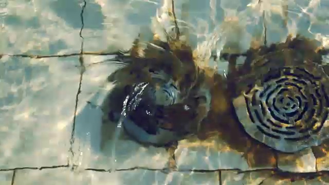 把水排入下水道，即漏斗。