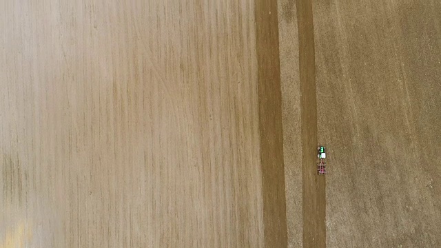 领域培养4 k