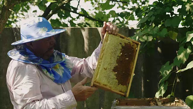 戴着面具的养蜂人在一个有蜜蜂的开放蜂巢附近工作