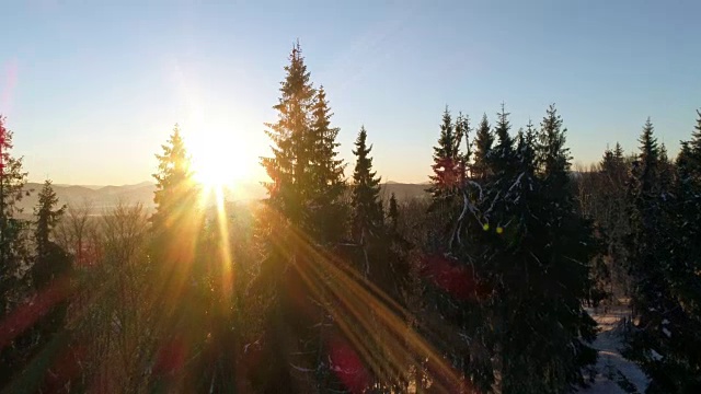 鸟瞰图在日出的冬季山