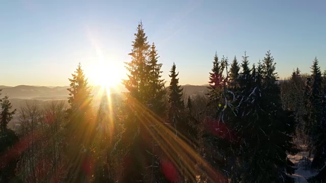 詳情圖-鳥瞰圖在日出的冬季山