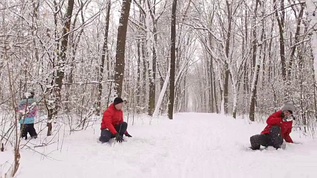 快乐的大家庭在冬季公园玩雪球。