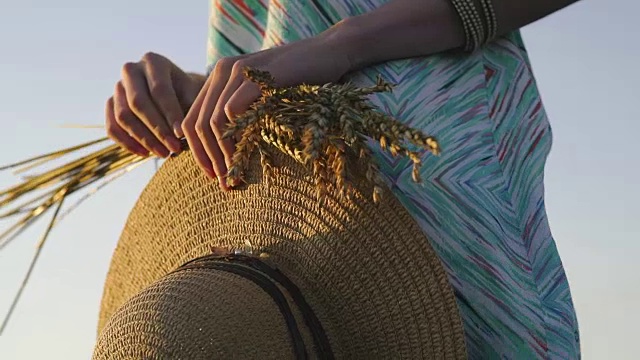图片特写的两只手拿着金色的麦穗和草帽在球场上。金色的乡村户外景色