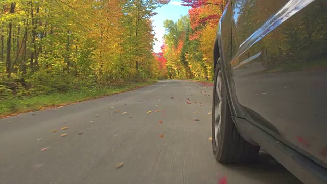 特写:在阳光明媚的秋天，越野车轮胎行驶在空旷的森林道路上