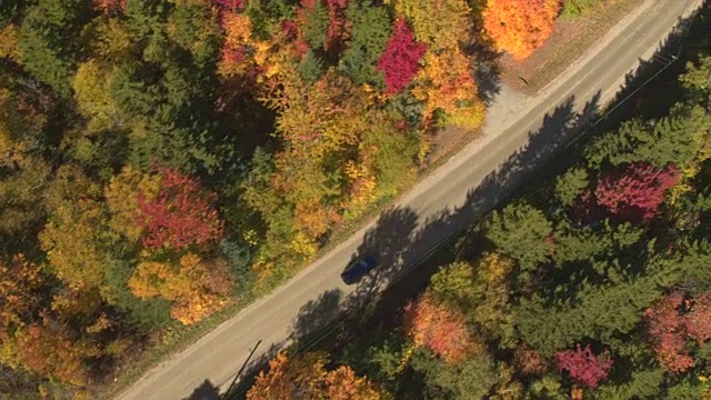 空中俯瞰:越野车行驶在美丽多彩的秋天森林的空旷道路上