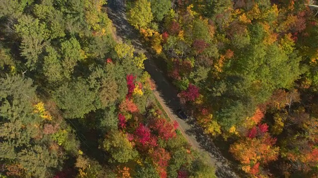 空中俯瞰:越野车行驶在美丽多彩的秋天森林的空旷道路上