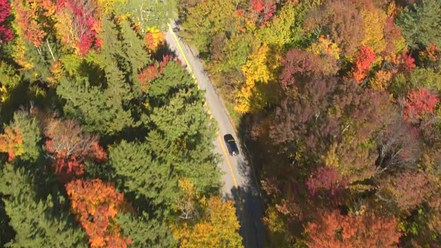 航拍:越野车在树叶偷窥公路上行驶，穿过五彩缤纷的秋天森林