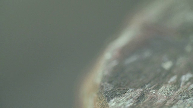 详情图-一架飞4K,FS700奥德赛7Q的黑甲虫