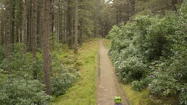 无人机镜头山地自行车在森林