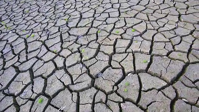 由于长期干旱造成的干旱、龟裂、贫瘠的土地