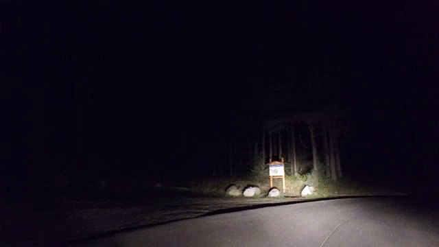 夜间在森林乡村道路上行驶，4k