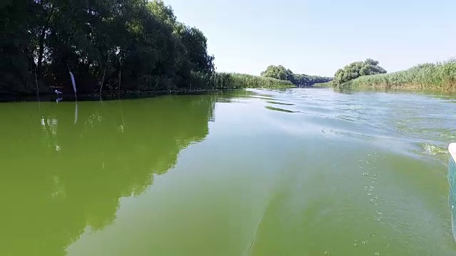 航行在多瑙河三角洲海峡绿色水域