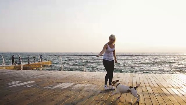 詳情圖-年輕女子在海邊訓(xùn)練可愛的狗杰克羅素