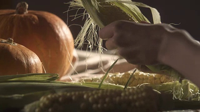 这个女孩清理玉米穗。南瓜和小麦的静态生活的背景