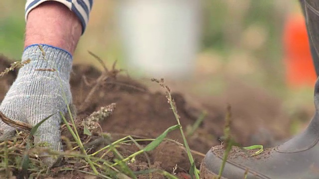 农夫拔除田里的杂草