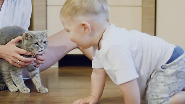 一个小男孩爬到愤怒的猫身边去探索这只宠物