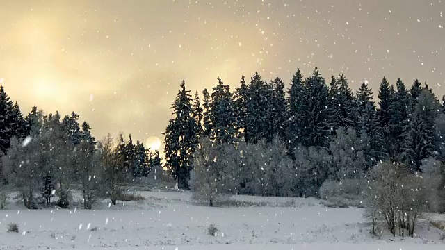 冬季景观无缝循环背景与雪花