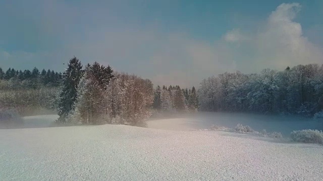 空中摄影:在冬天的早晨，飞过雾气弥漫的林间空地，飞向冰冻的森林