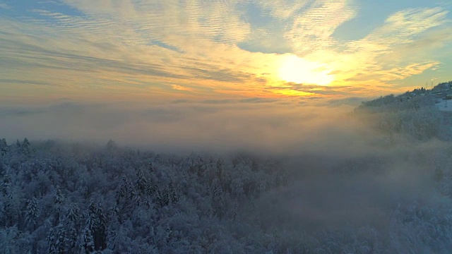 空中特写:在雾霾的冬天日出时，飞过壮观的雪林