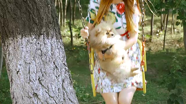 孩子们的秋千。一个带着狗荡秋千的女孩。