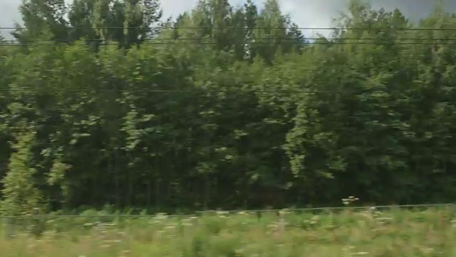 高铁在阴天快速驶过一片森林和田野