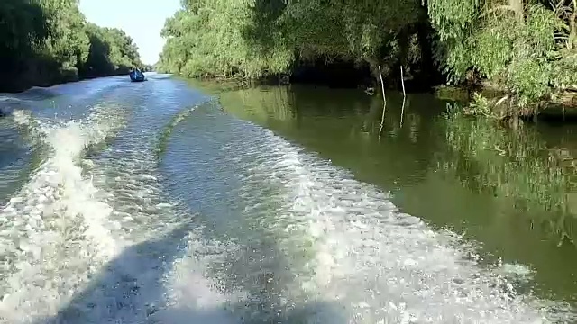 多瑙河三角洲频道的慢镜头