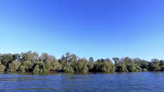 多瑙河三角洲河道上的植被