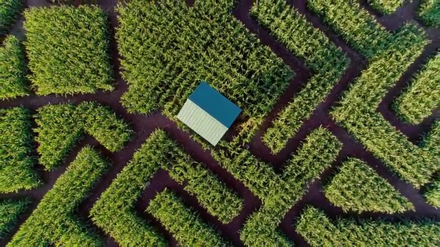 宾夕法尼亚州波科诺斯地区巨大的万圣节玉米迷宫。无人机视频正上方