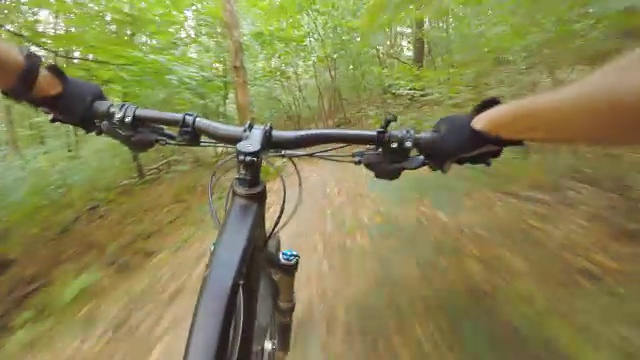 在夏季森林骑行山地自行车道，第一人称视角