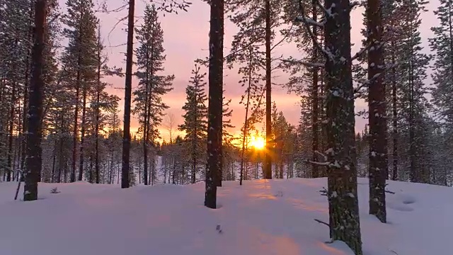 詳情圖-空中特寫:在金色的夕陽下飛過冬天森林里積雪的松樹