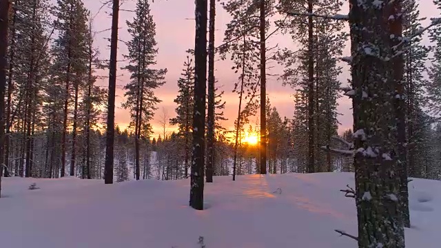 詳情圖-空中特寫:在金色的夕陽下飛過冬天森林里積雪的松樹