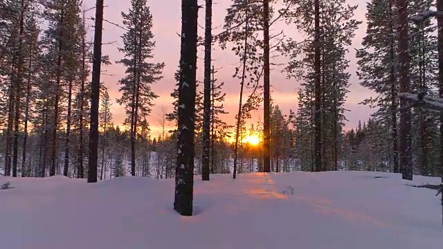 詳情圖-空中特寫:在金色的夕陽下飛過冬天森林里積雪的松樹