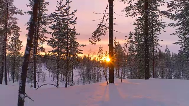 詳情圖-空中特寫:在金色的夕陽下飛過冬天森林里積雪的松樹