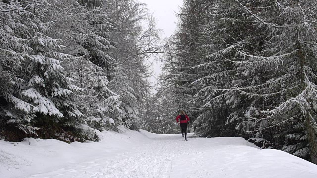 一个女人跑在雪道上穿过山林。