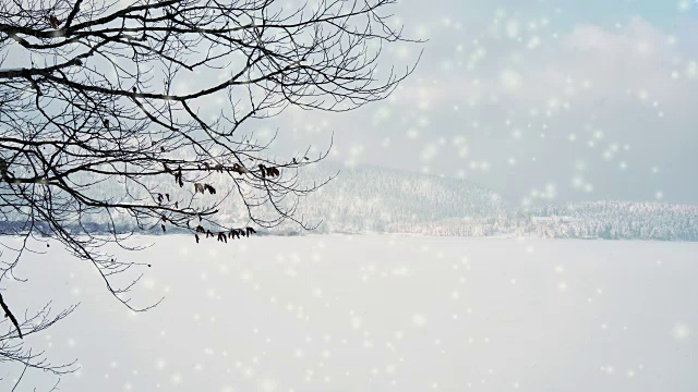 4k圣诞雪花动画