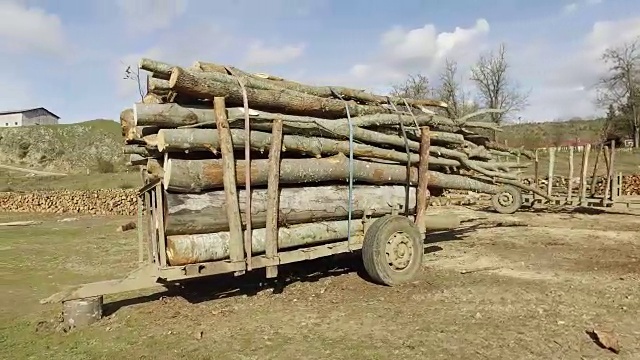 非法Disforestation。木材采伐木材工业或木制房屋建设概念。大木材堆锯去皮松木原木