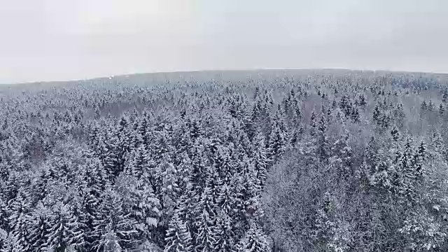 4 k。飞行和起飞上方的冬季森林在下雪的北方，空中全景