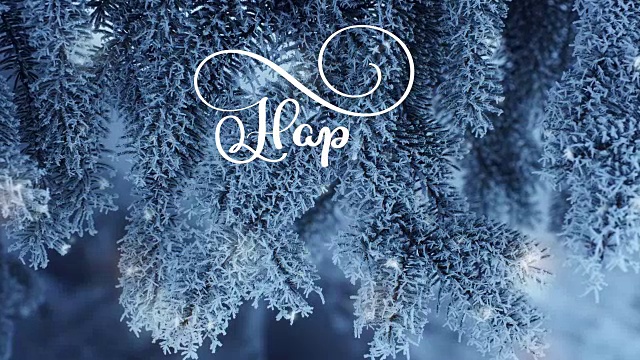 详情图-在雪杉树的背景上书写白色的新年动画书法文字。动画。圣诞贺卡。快乐的感觉