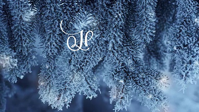 详情图-在雪杉树的背景上书写白色的新年动画书法文字。动画。圣诞贺卡。快乐的感觉