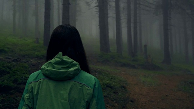 一个年轻女子在森林里徒步旅行的后视图