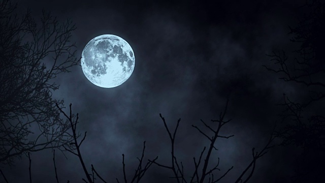 詳情圖-月月光。月亮的夜空。神秘的令人毛骨悚然的恐怖。樹的影子樹剪影。自然背景